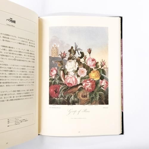 フローラの神殿／荒俣 宏・編著［稀覯本］