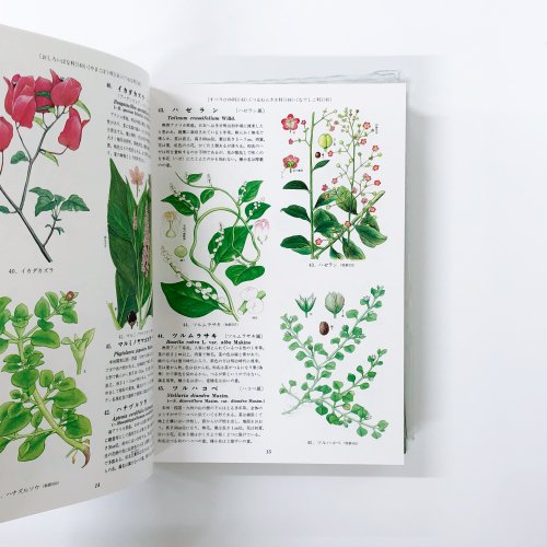 2冊セット 原色牧野植物大図鑑