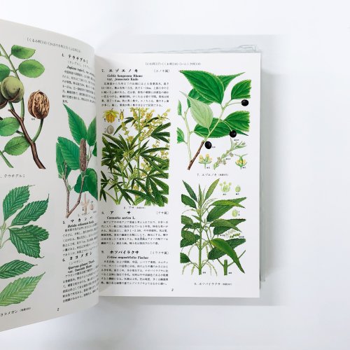 2冊セット 原色牧野植物大図鑑