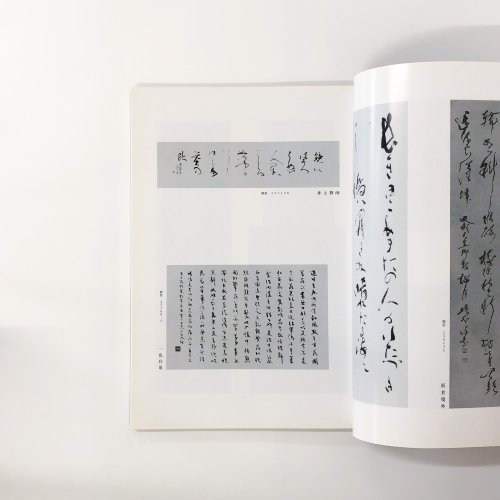 図録 今上天皇御即位記念 歴代天皇御製皇后御歌謹書展 - ノースブックセンター