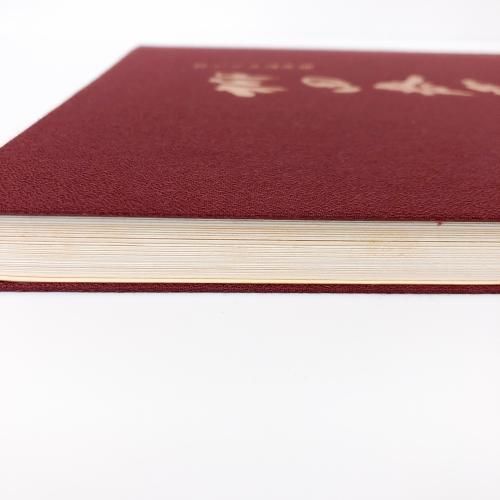 現代名家臨書範 柳田泰雲臨書集 巻一 - ノースブックセンター