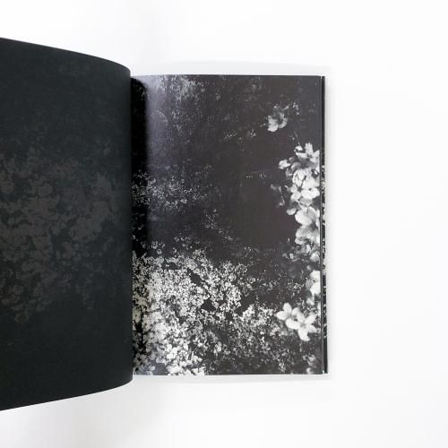 Daido Moriyama:Ango 森山大道