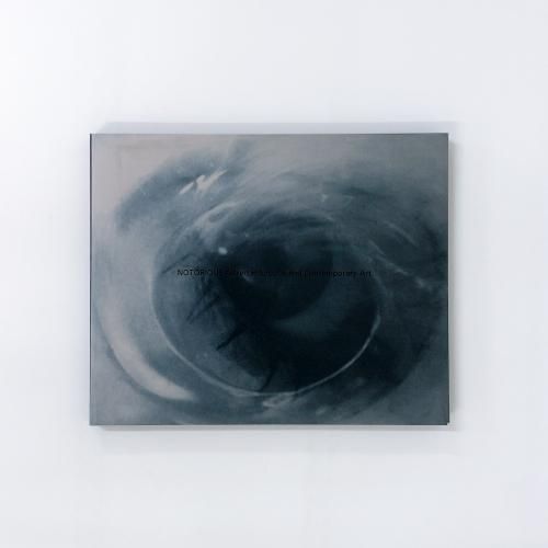 図録 | 汚名ーアルフレッド | ヒッチコックと現代美術 - ノースブック