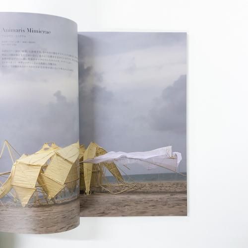 テオ・ヤンセンとストランドビースト 新訂版