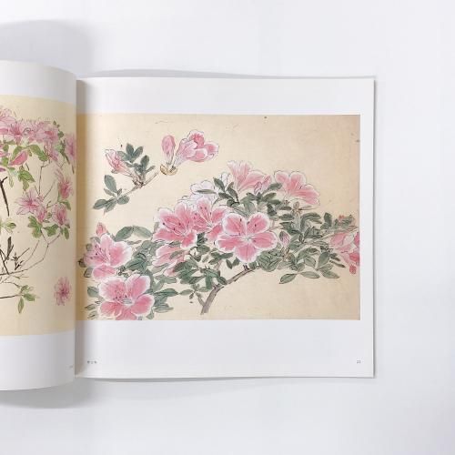 美品　堅山南風　花　NHK出版 堅山南風 花のスケッチ - ノースブックセンター