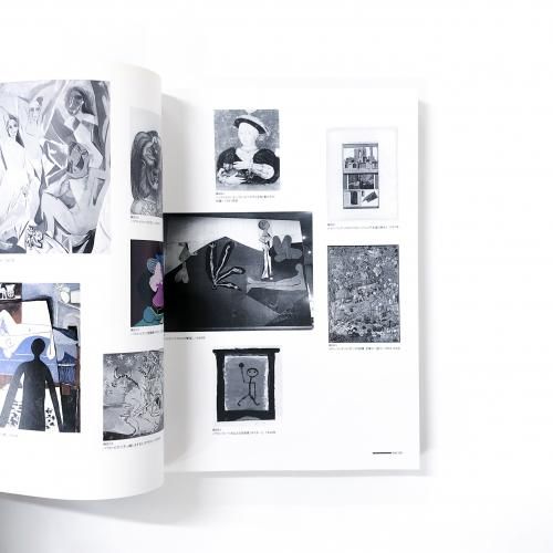 図録 ジャスパー・ジョーンズ展 JASPER JOHNS - ノースブック