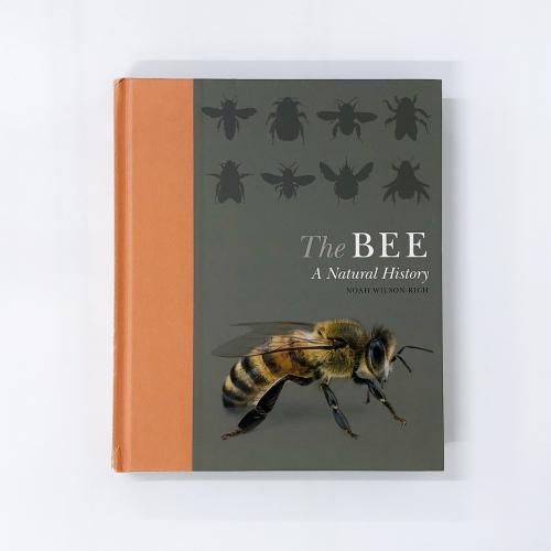 ν The BEE A Natural History NOAH WILSON-RICH