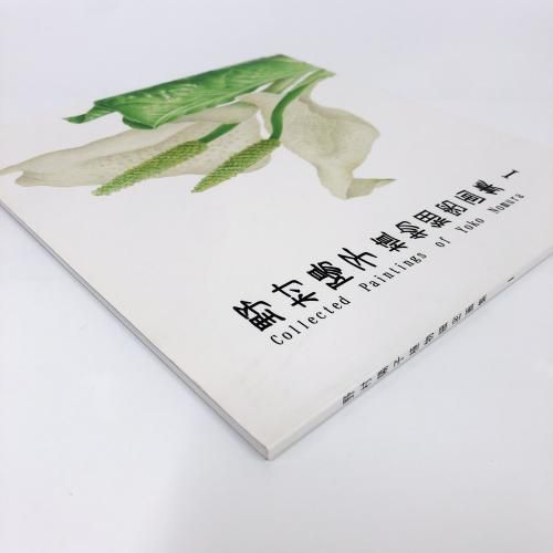 野村陽子植物細密画集Ⅰ - ノースブックセンター