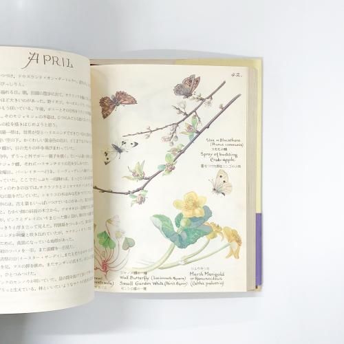 洋書　edith holden　イーディス•ホールディン　カントリーダイアリー 洋書 edith holden イーディス•ホールディン カントリー