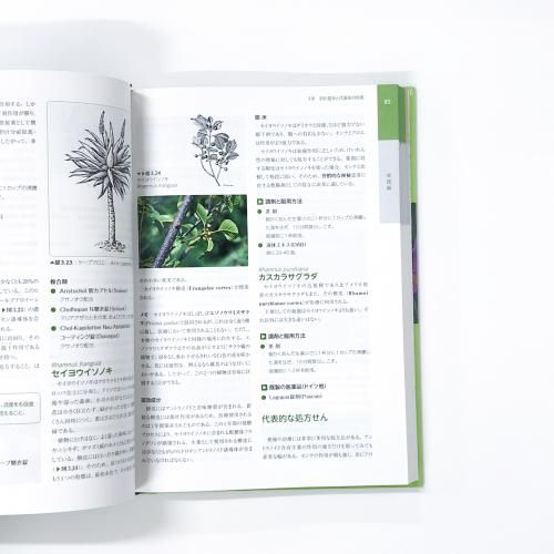「植物療法(フィトセラピー)事典 フィトセラピー 植物療法事典 - ノースブックセンター販売