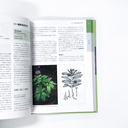 フィトセラピー 植物療法事典 - ノースブックセンター