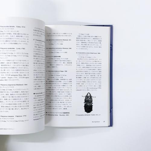 世界の珍奇クワガタムシ - ノースブックセンター