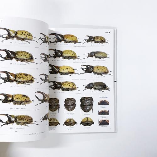月刊むし・昆虫図説シリーズ6 世界のカブトムシ 【上】南北