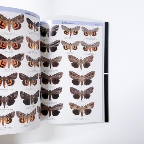 月刊むし・昆虫図説シリーズ1 世界のカトカラ - ノースブックセンター