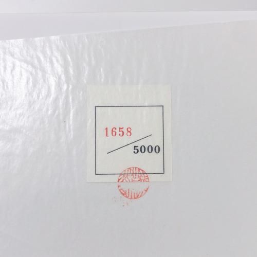 限定5000部 ルイ・イカールの生涯 生誕100年記念出版 - ノース