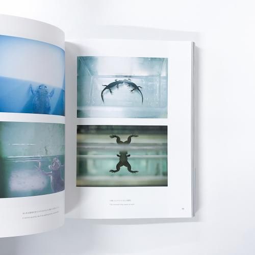 if-then | YUKIKAZU | ITO | 伊藤之一 - ノースブックセンター