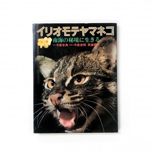 Ken'sChoic NATURE IRIOMOTEYAMANEKO限定240本 Ken'sChoic NATURE IRIOMOTEYAMANEKO限定240本 イリオモテヤマネコ