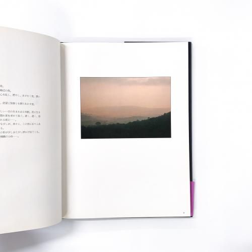 巨匠デイヴィッドハミルトン写真集　サントロペの夏　サイン入り 巨匠デイヴィッドハミルトン写真集サントロペの夏サイン入り