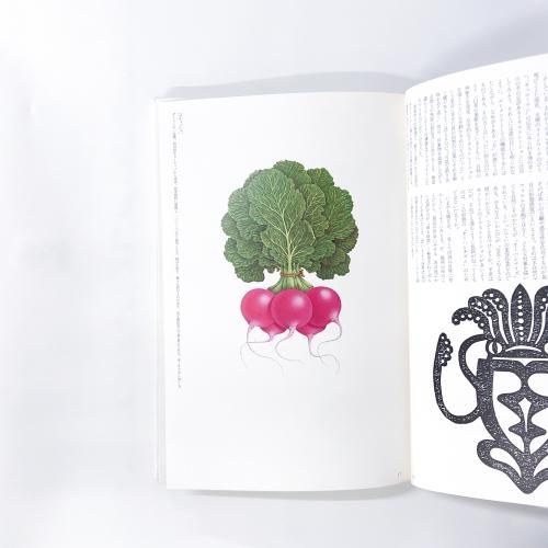大橋正の博物誌　美術出版社　1979年 古書古本 dessin: 大橋正の博物誌 （大橋正, 美術出版社）