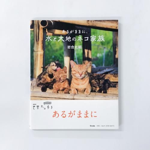 超希少 猫 洋書 画集 写真集 コレクション まとめ売り50冊 FAT CATS☆ネコちゃん猫☆写真集☆洋書☆ビンテージUSAアメリカ