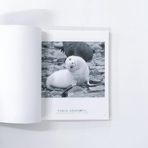 人生について 人生はZOO(ずー)っと楽しい! ―毎日がとことん楽しくなる65の方法
