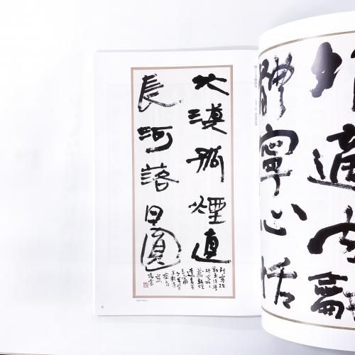 ☆書籍１万円均一☆非売品 今井凌雪ー人と書のすべてー ☆書籍1万円均一☆非売品 今井凌雪ー人と書のすべてー 非売品