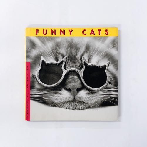 超希少 猫 洋書 画集 写真集 コレクション まとめ売り50冊 超希少 猫 洋書 画集 写真集 コレクション まとめ売り50冊 超