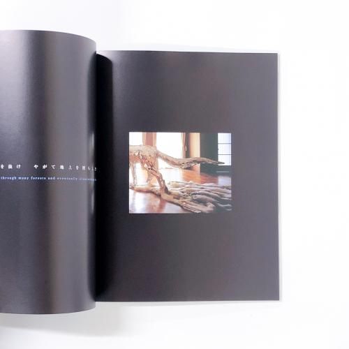 「無題」鴻池朋子2010年【複製】 鴻池朋子 at ギャルリー宮脇 Tomoko Konoike at Galerie