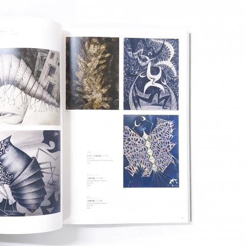 池田龍雄画集 41Q16JPGM1L.jpg