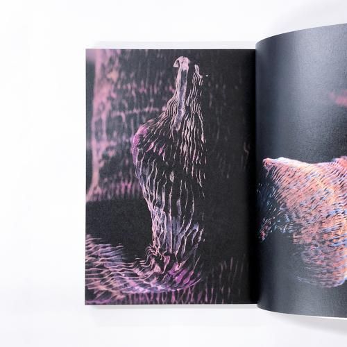 ころも | 布のデザイン | ヨーガンレール - ノースブックセンター