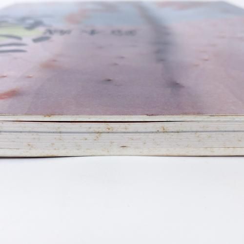 志埜 人間国宝 鈴木藏展 - 古本買取販売 ハモニカ古書店 建築