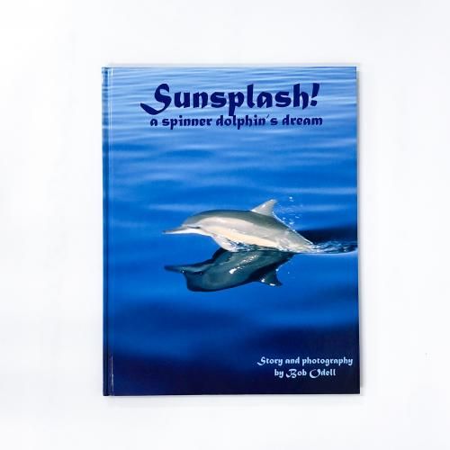 Sunsplash!A spinner dolphin's dream