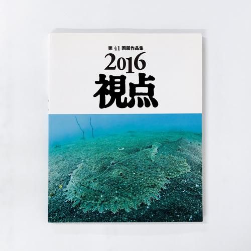 41Ÿʽ 2016 