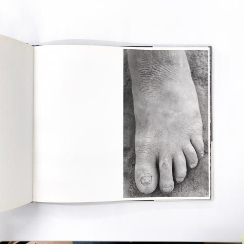 AFRICA | HERB | RITTS | ハーブ | リッツ - ノースブックセンター
