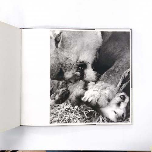ハーブリッツ 1580.HERB RITTS WORK Herb Ritts ハーブ・リッツ | 帽子堂