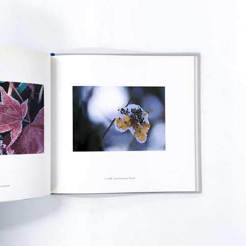 【中古】 ラ・メール ３２/書肆博物館 WHITE MUSEUM - ノースブックセンター