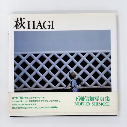 롡HAGIͺ̿