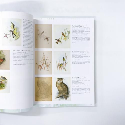 グールドの鳥類図譜 グールドの鳥類図譜 | ジョン グールド, 安部 直哉 |本 | 通販