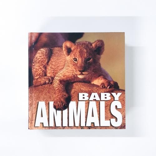 CUBE BOOK BABY ANIMALS