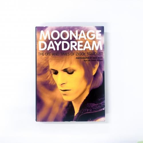 MOONAGE DAYDREAM THE LIFE AND TIMES OF ZIGGY STARDUST
