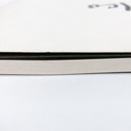 沢村美佐子　絵画 図録 | 沢村美佐子'70-'95展 - ノースブックセンター