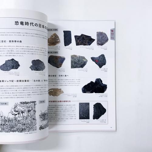入札図録 図録 | 福井県立恐竜博物館 | 展示図録 | 2023年 - ノースブック