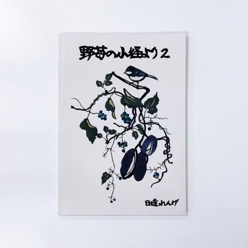 ξ¤2