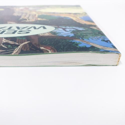 図録 | THE | WORLD | OF | SEIZO | WATASE | 色彩の旅人となって | 20