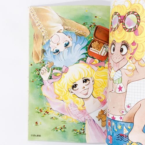 デラックスオールカラー 一条ゆかり イラスト傑作集 りぼん特別編集