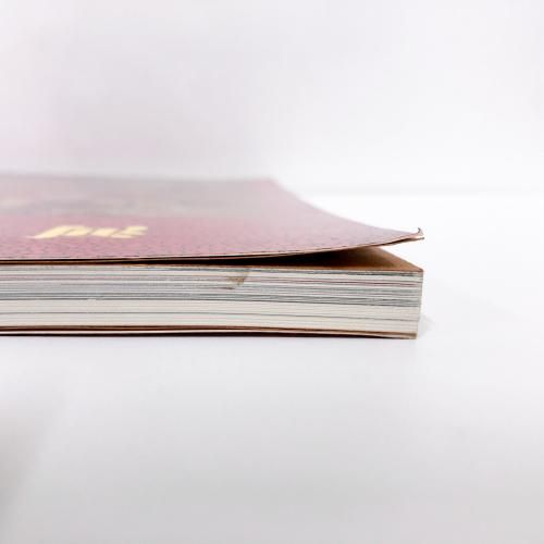 図録 | 河鍋暁斎 - ノースブックセンター