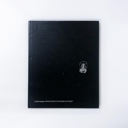 ν Camille Solyagua Benevolent Pleasures of Sight