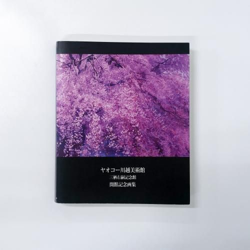 䥪Ѵ ̵ǰ ۵ǰ轸