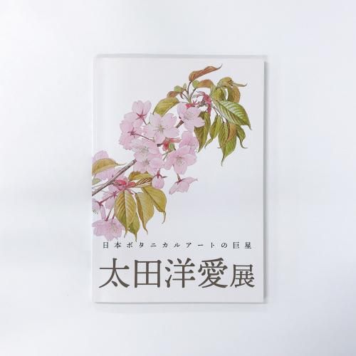 太田洋愛　ボタニカルアート　くずの花 太田洋愛 ボタニカルアート くずの花 太田洋愛 ボタニカルアート くずの花