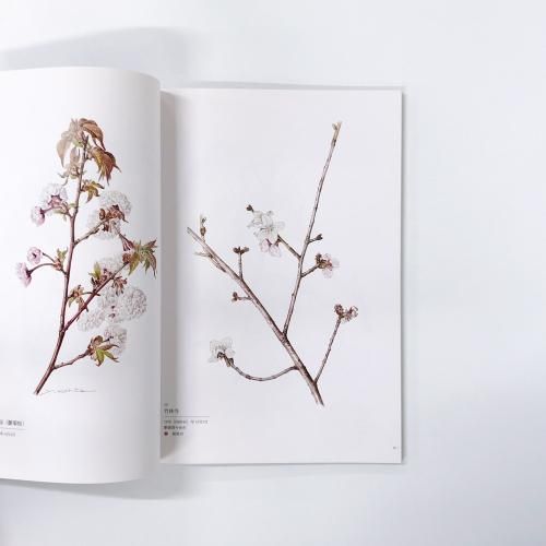 図録 | 日本ボタニカルアートの巨星 | 太田洋愛展 - ノースブックセンター
